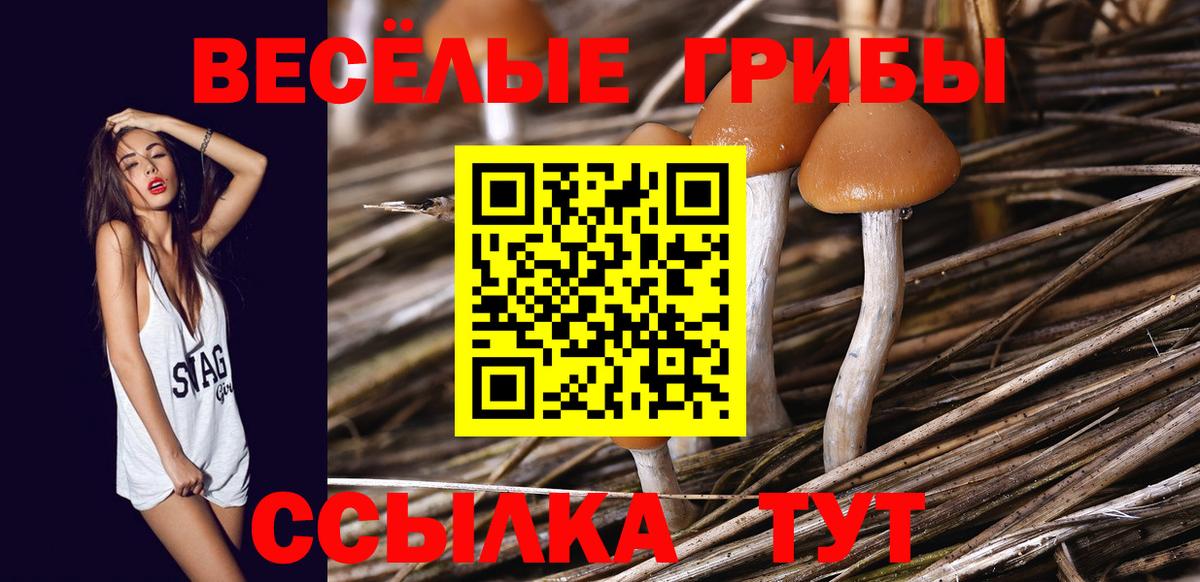 купить закладку  Псилоцибиновые грибы прущие грибы  Вход с VPN  Чайковский  Галлюциногенные грибы ЛСД 