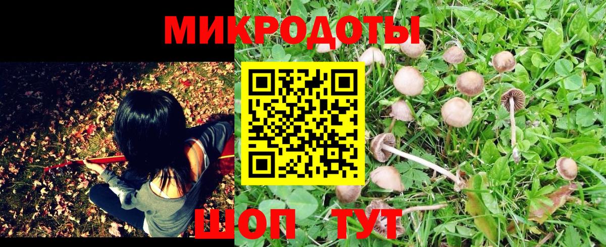 Псилоцибиновые грибы Magic Shrooms Чайковский